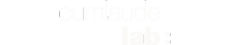 Cumlaude Lab